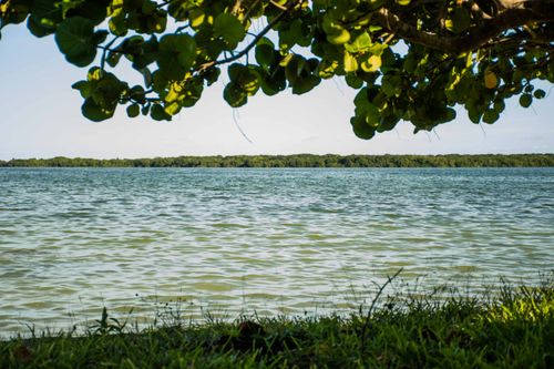 Free Serene lakeside scene with lush green foliage and clear skies, perfect for relaxation. Stock Photo