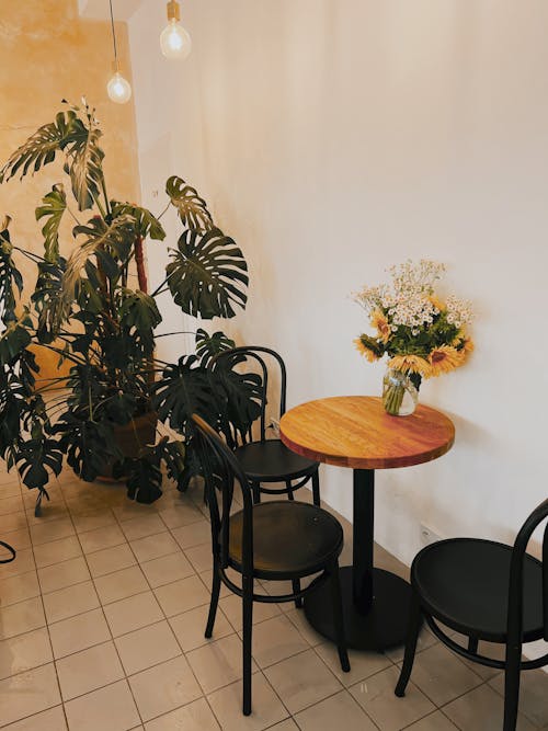 Small Cafe Table next to Monstera Plants