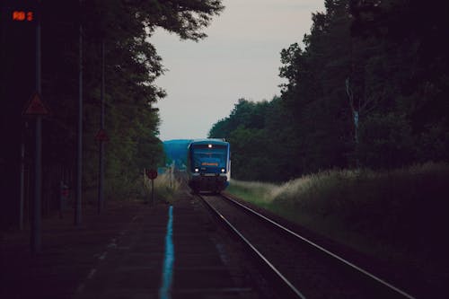 Photo of a Train Approaching a Station in the Forest