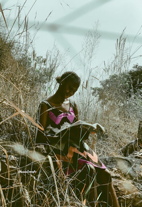 A Woman Reading a Book