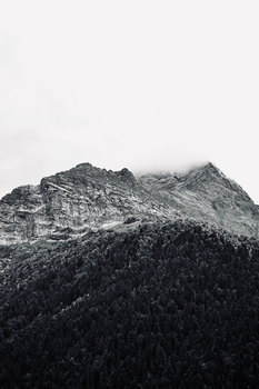 A serene grayscale image of a rocky mountain partially covered in fog and surrounded by dense trees.