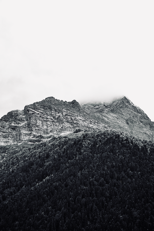 Free A serene grayscale image of a rocky mountain partially covered in fog and surrounded by dense trees. Stock Photo