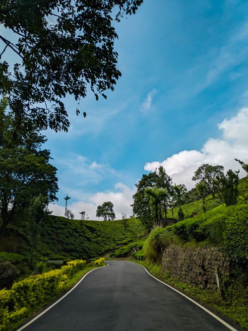 Munnar mountain sunrise