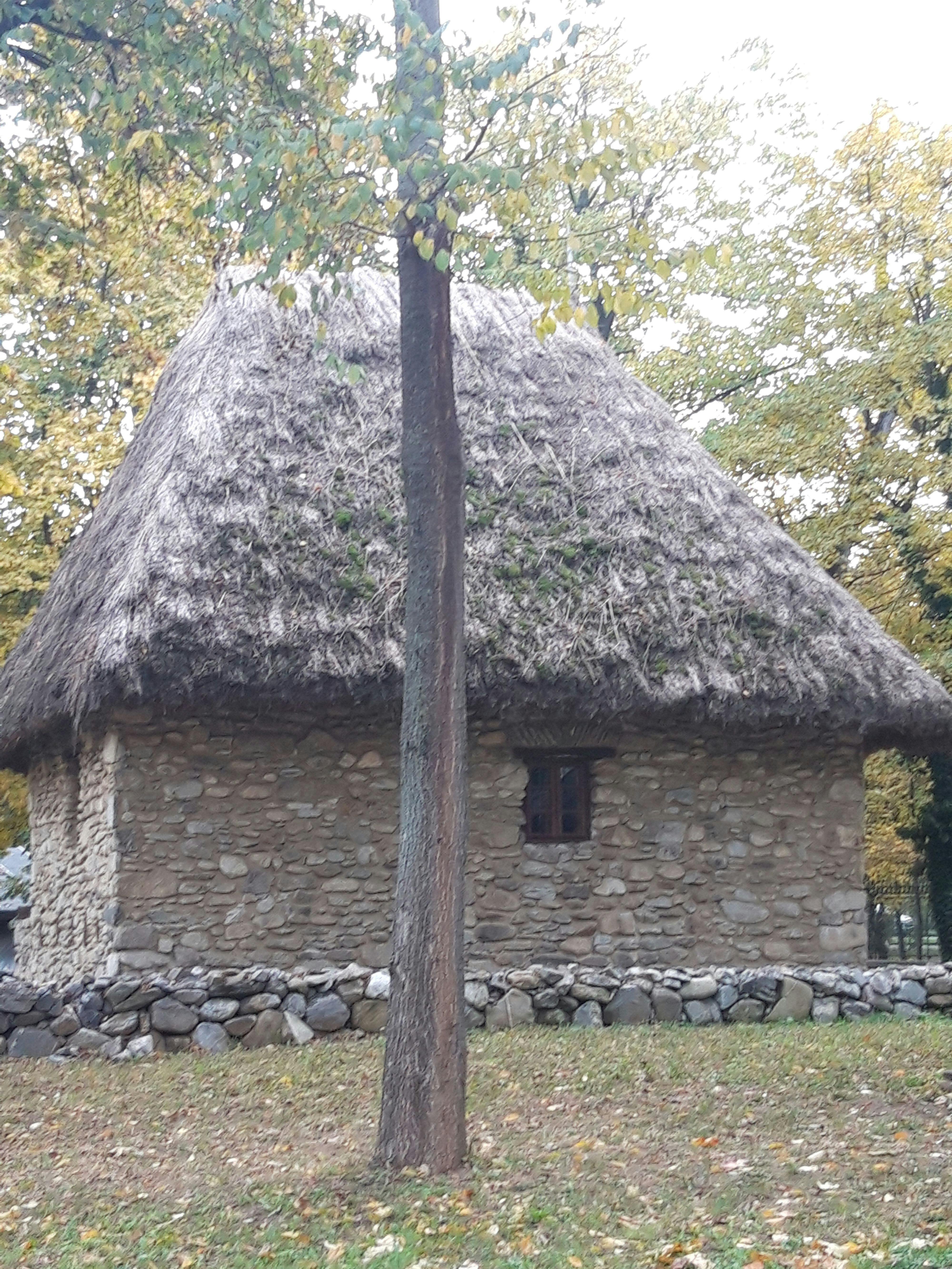 Doctor holding a pink ribbon symbolising cancer awareness and prevention