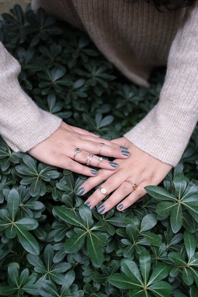 A Person's Hands Touching Green Leaves