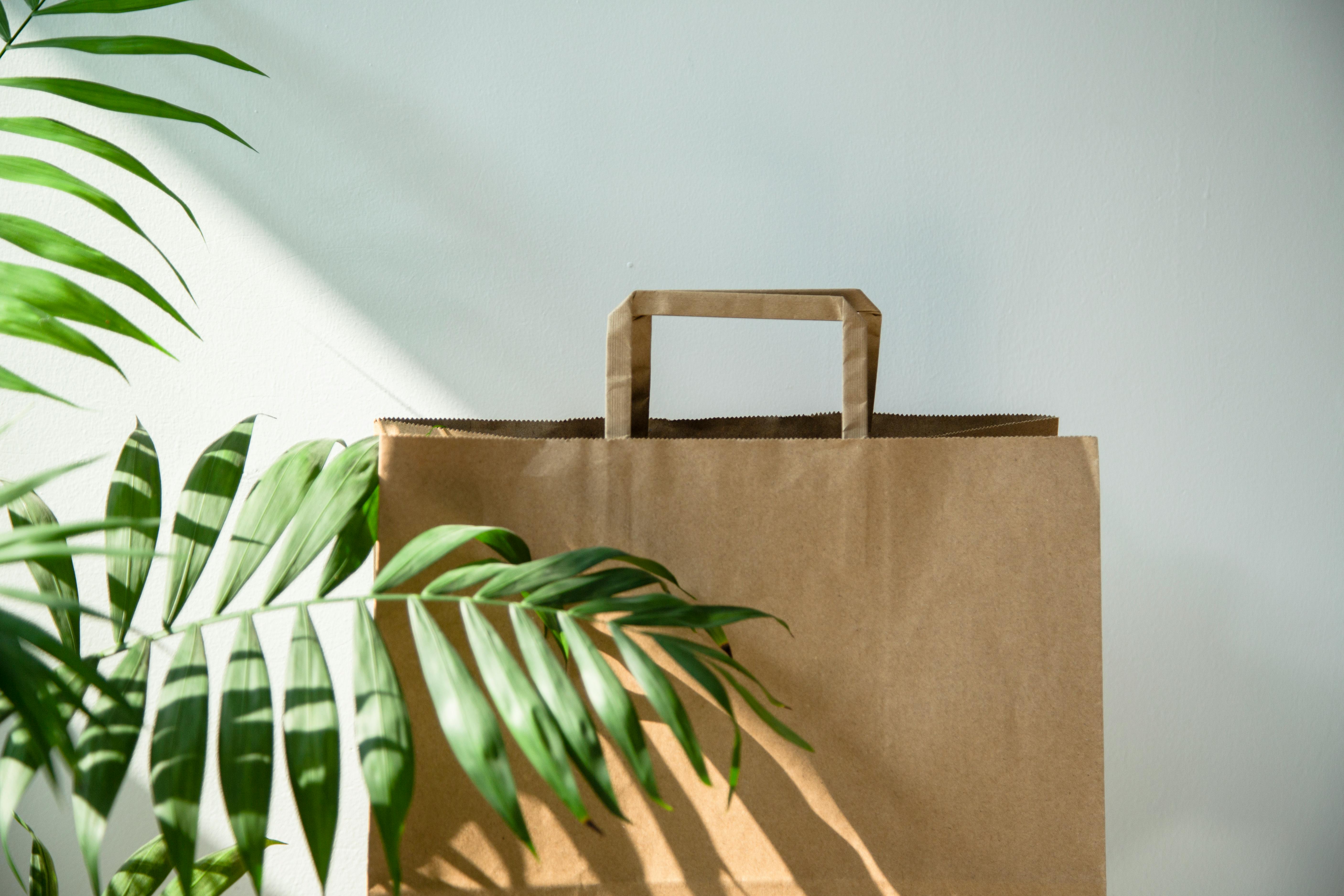 brown paper shopping bag