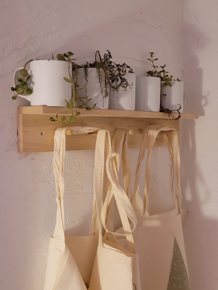 Hanging Tote Bags On Wooden Shelf With Potted Plants