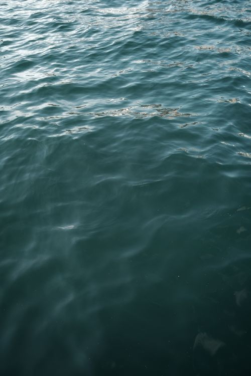 Free Serene image of a calm water surface with gentle ripples and reflections. Stock Photo