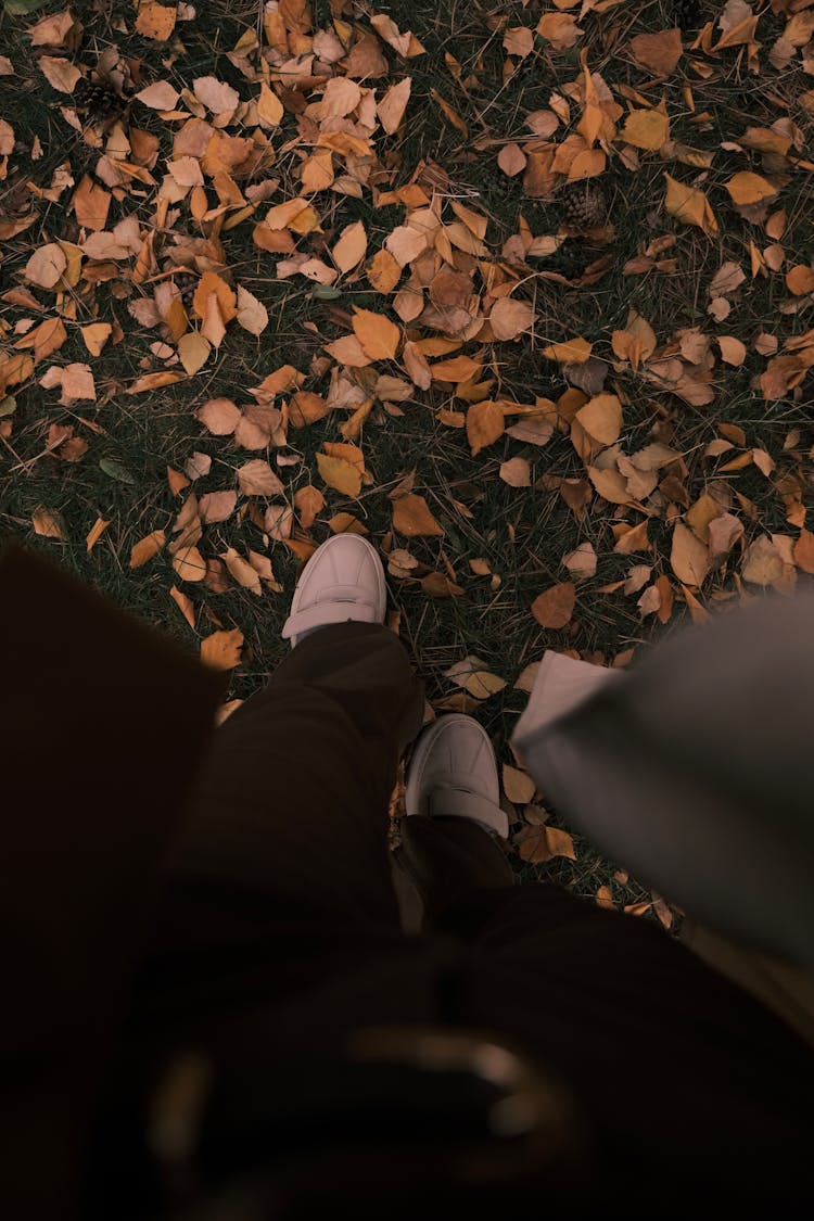 A Person's Feet Near Dry Leaves