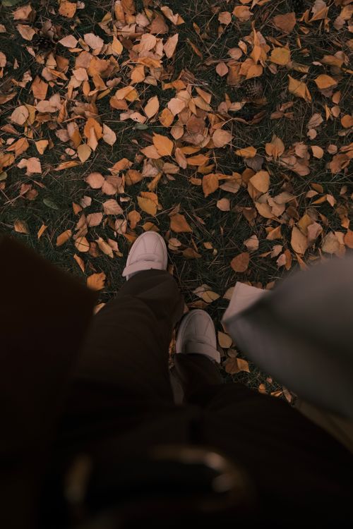 Free Feet in sneakers surrounded by autumn leaves viewed from above, capturing a seasonal vibe. Stock Photo