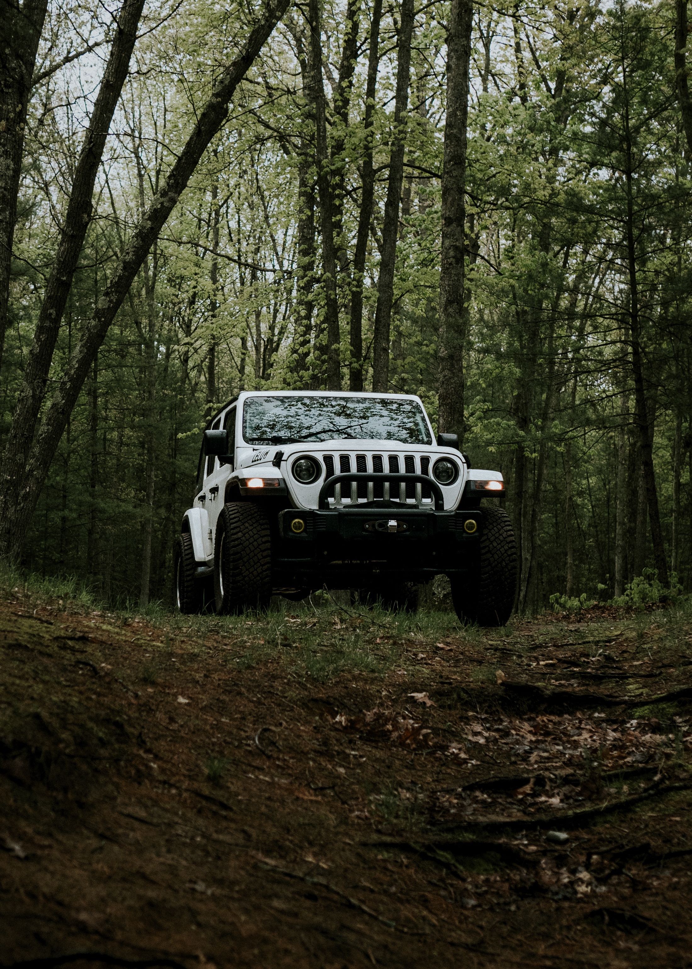 An off-road vehicle moving through the Manistee, Michigan forest