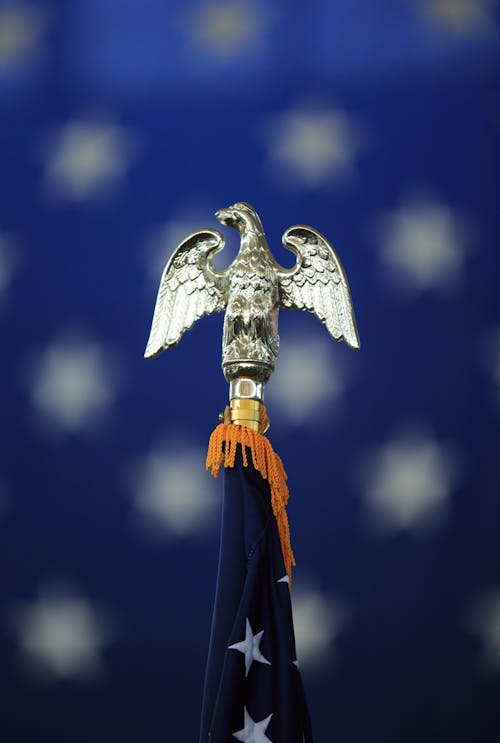 Kostenloses Stock Foto zu adler, amerikanische flagge, blau