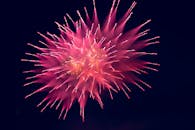 漆黑的夜空中，粉红色的烟花绽放得令人惊叹