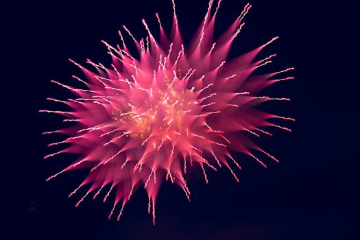 漆黑的夜空中，粉红色的烟花绽放得令人惊叹