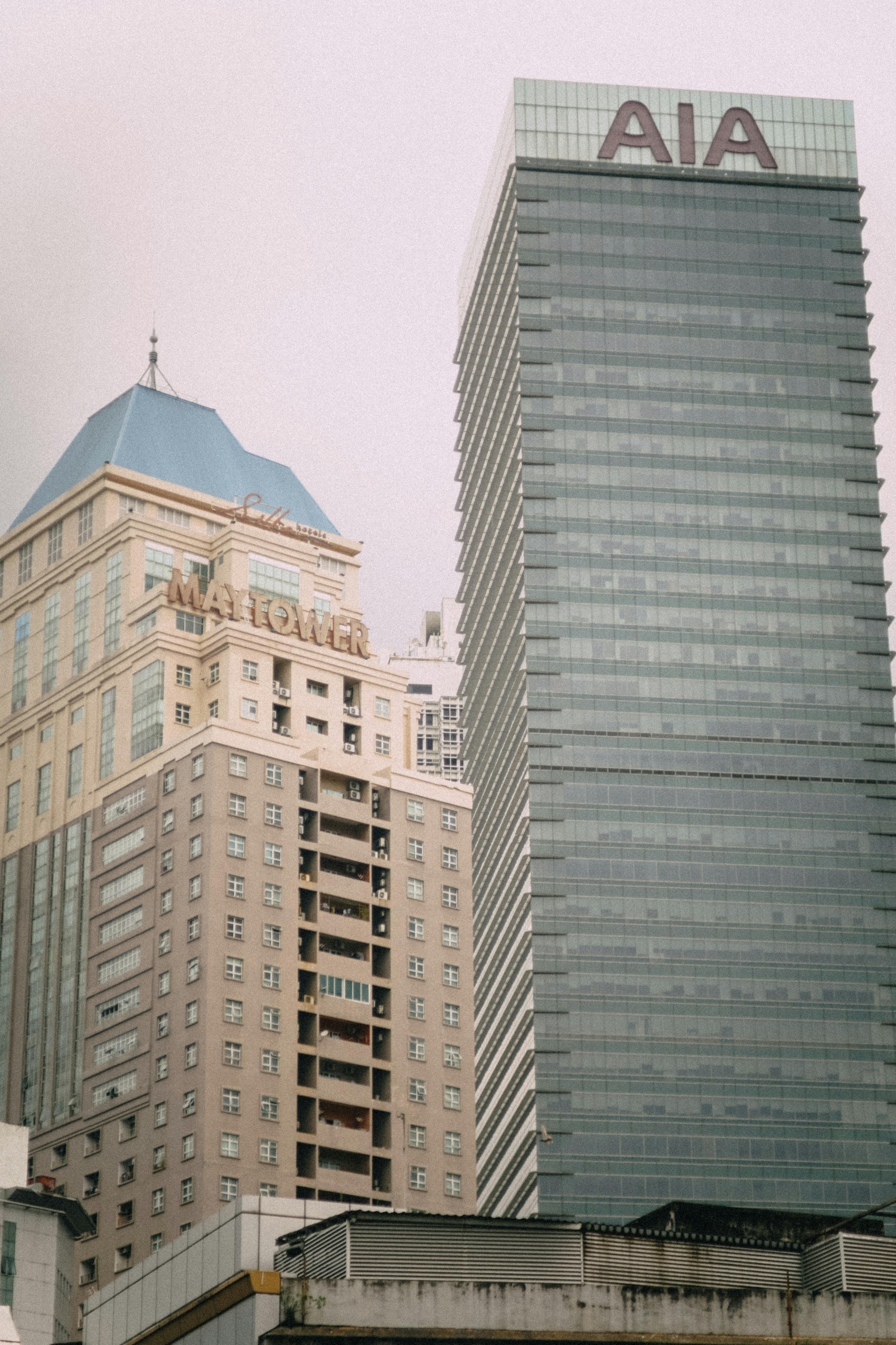 치과 치료 확인서 디시 사용