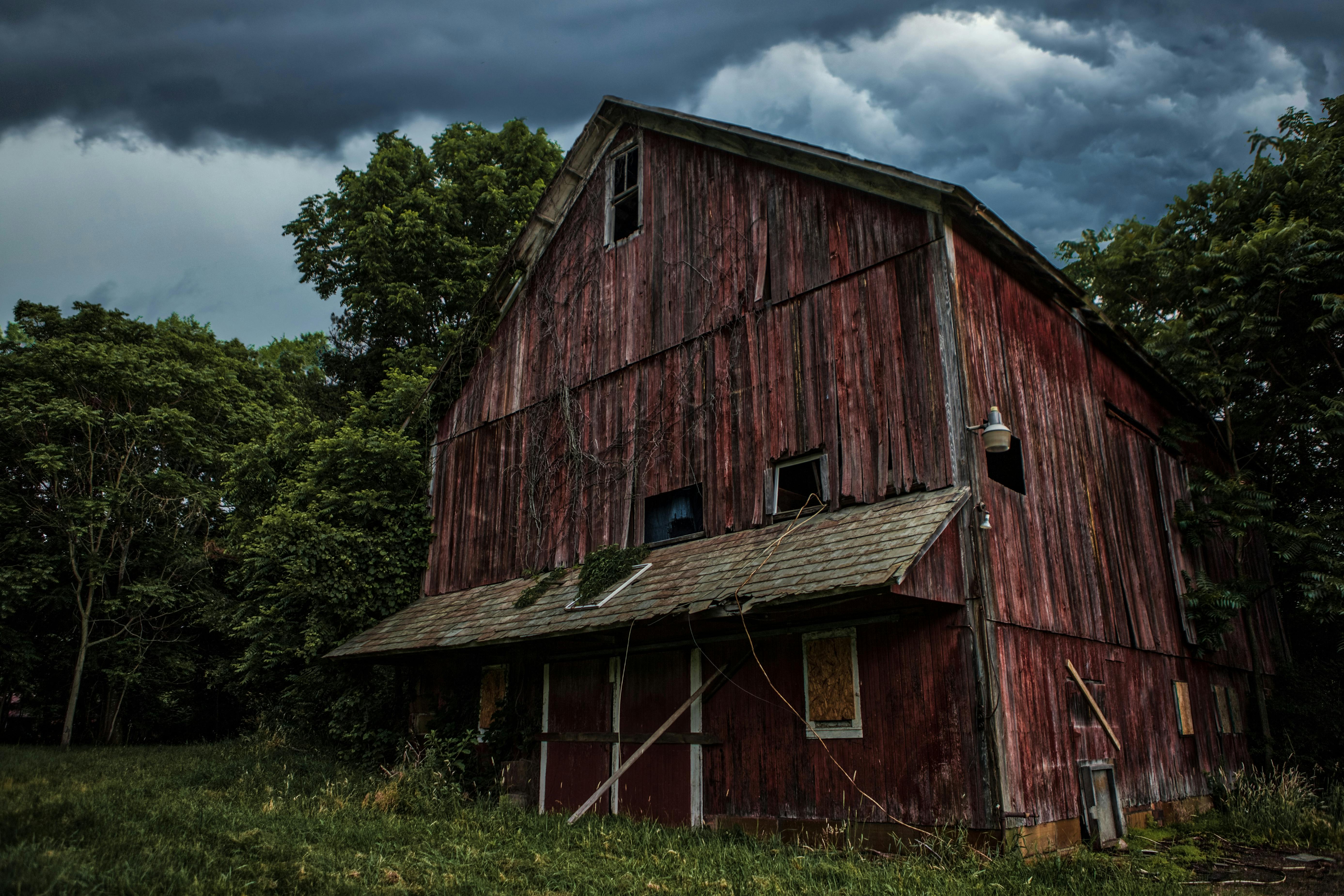Foto de stock gratuita sobre abandonado, agricultura, arboles