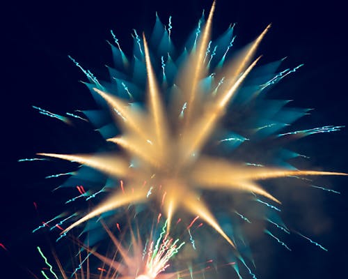 Free stock photo of blue, fireworks, flower