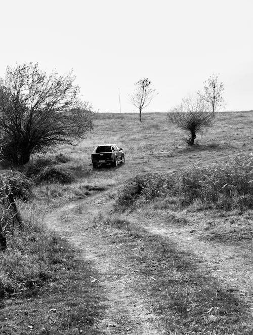 Grayscale Photo of Car on a Grass Field