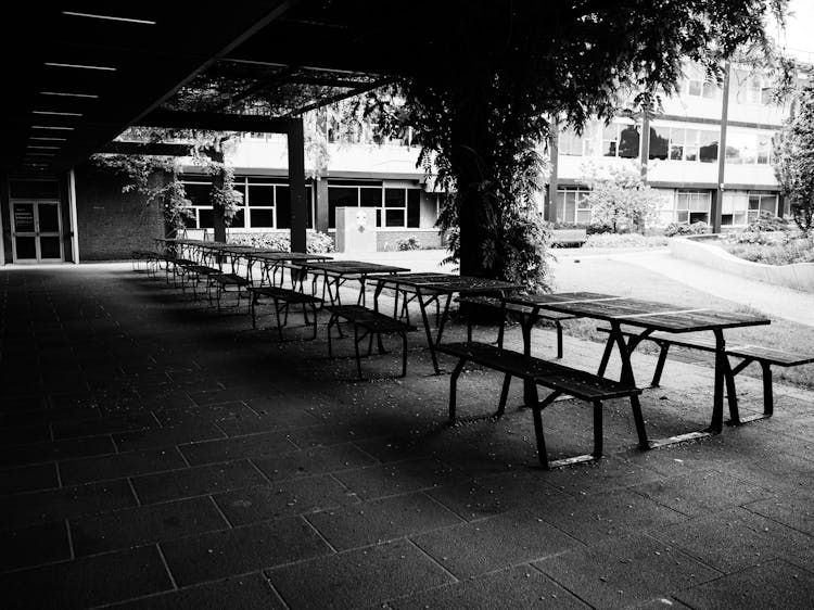 Grayscale Photo Of Benches And Tables