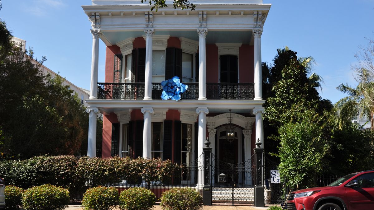 Best Pet Product Giveaways in New Orleans, LA: 2026 Local Guide
