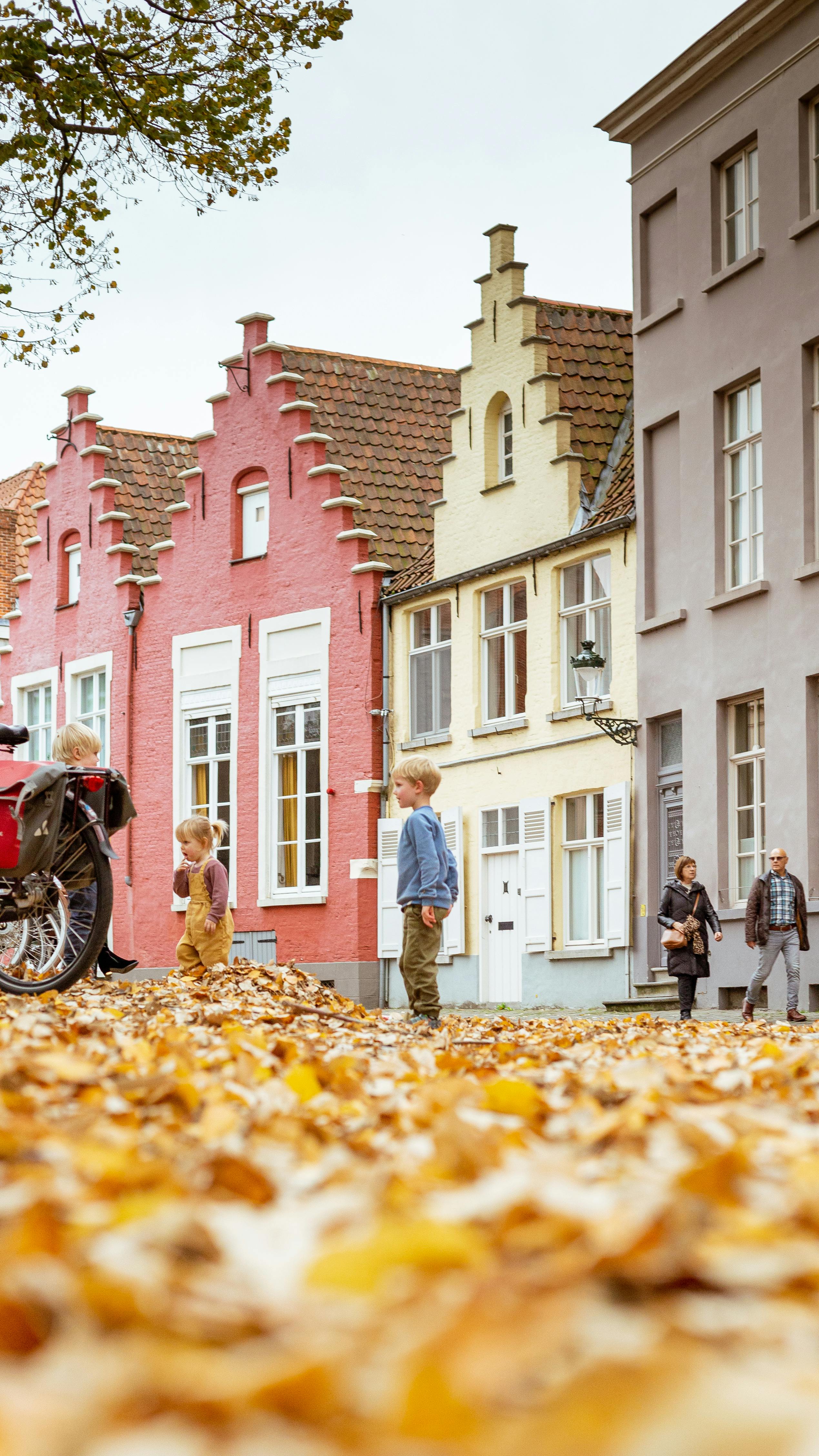 Why are houses 90 of millionaires?