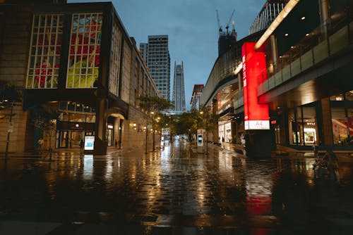 Downtown Street in a Rain at Dusk