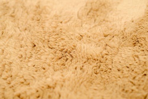 Close-up of a Soft and Fuzzy Fabric 