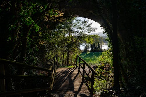 公園, 夏天, 拱 的 免费素材图片