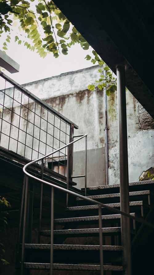 Free Industrial metal spiral staircase with greenery above in an urban outdoor setting. Stock Photo
