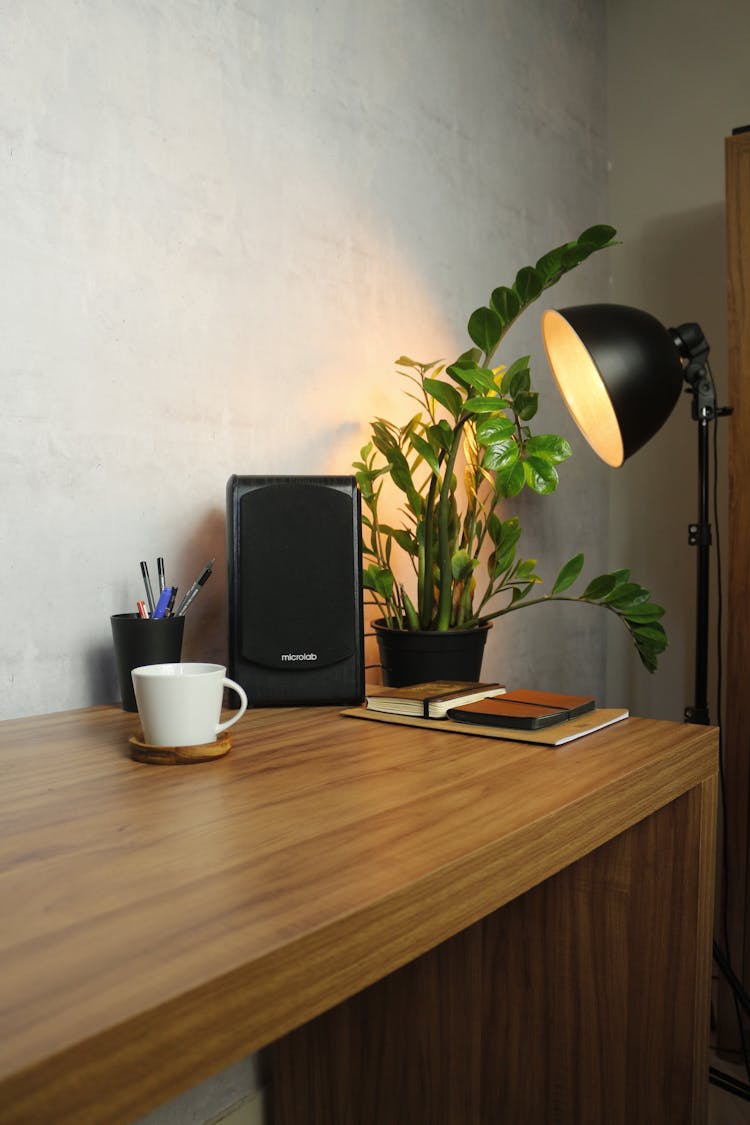 Photo Of A Black Speaker Near A Lamp