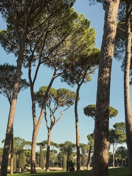 Image by Vlado Paunovic