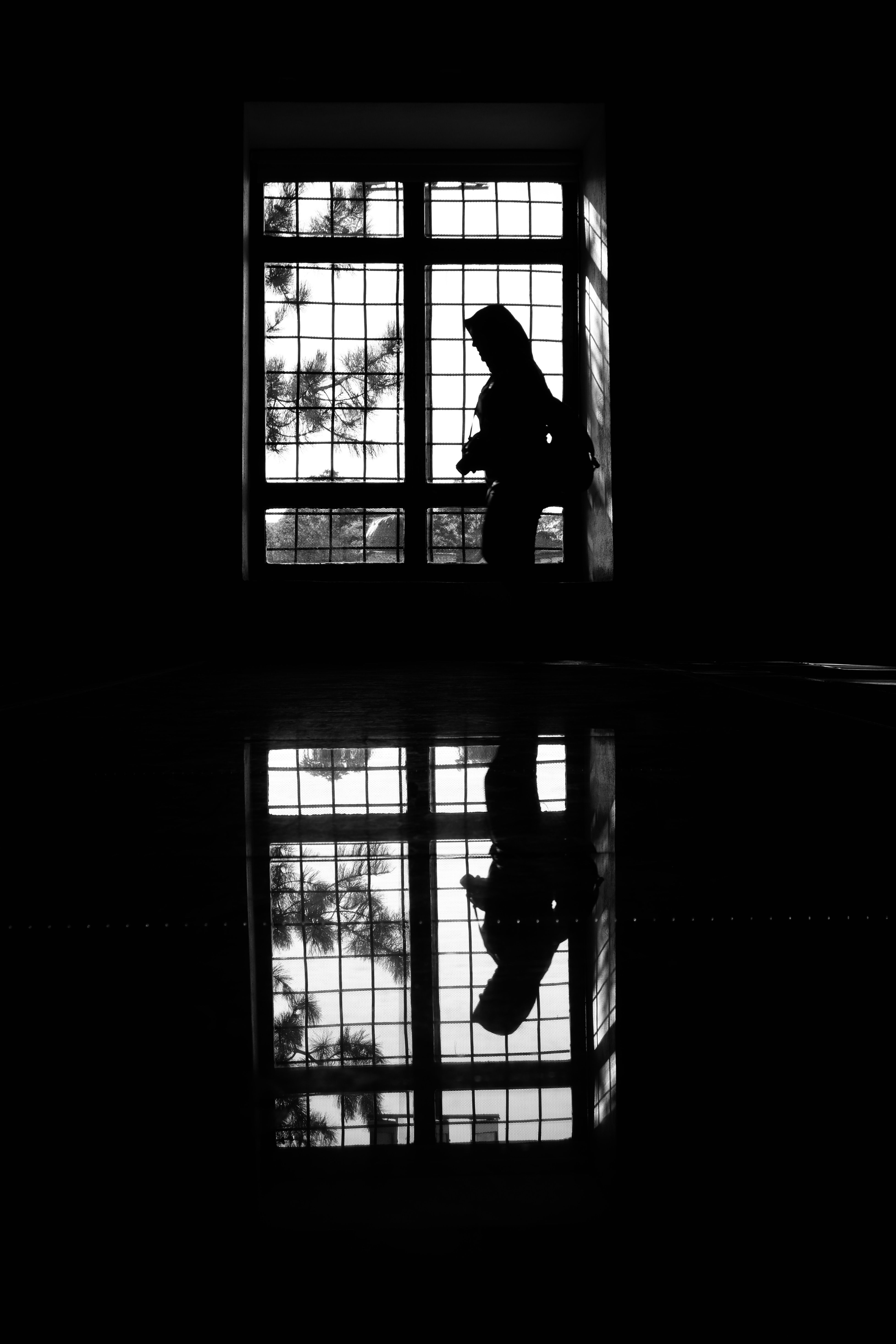Silhouette of a Person Standing in the Window · Free Stock Photo