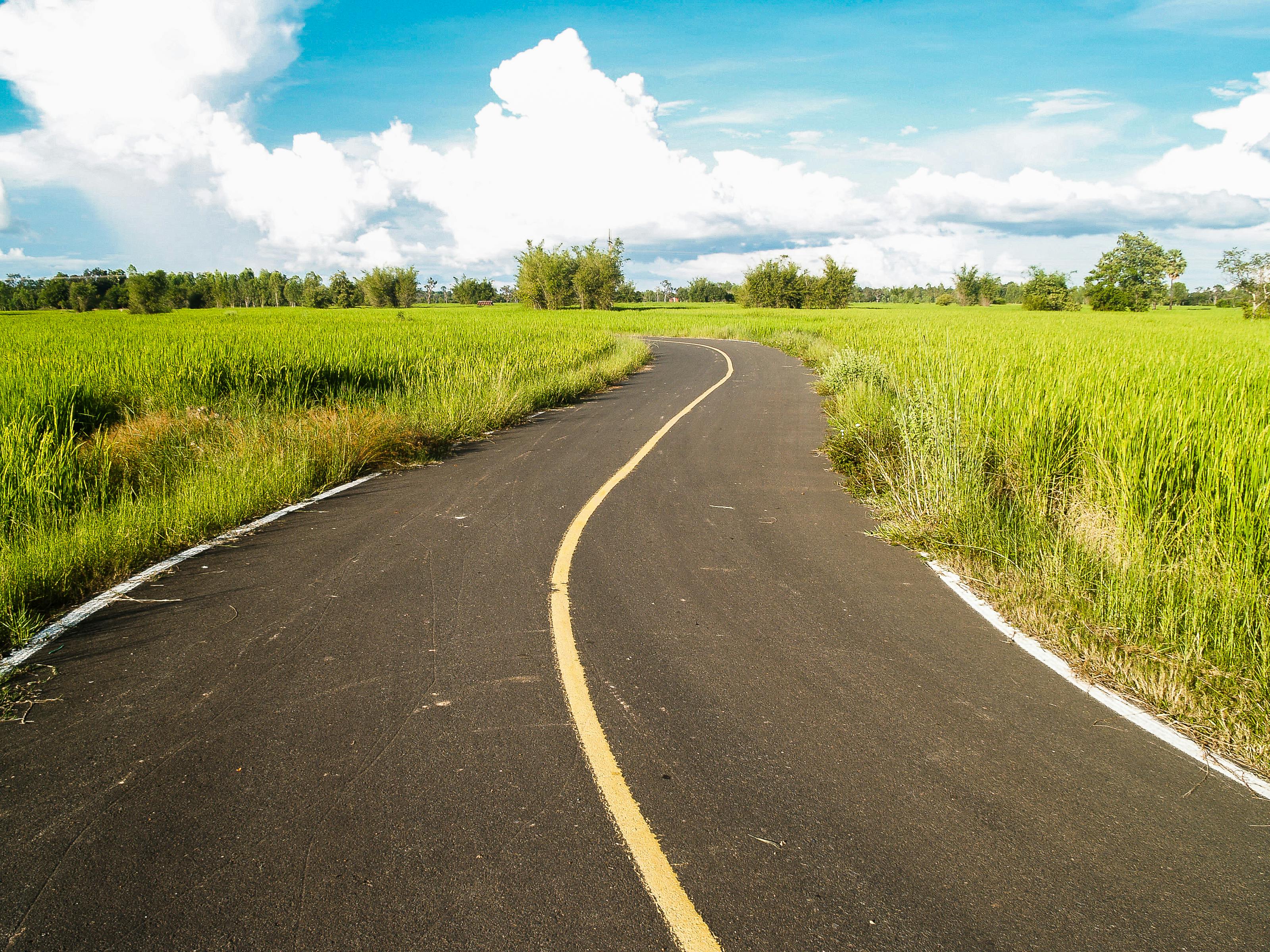 paved-road-in-between-green-grass-field-free-stock-photo