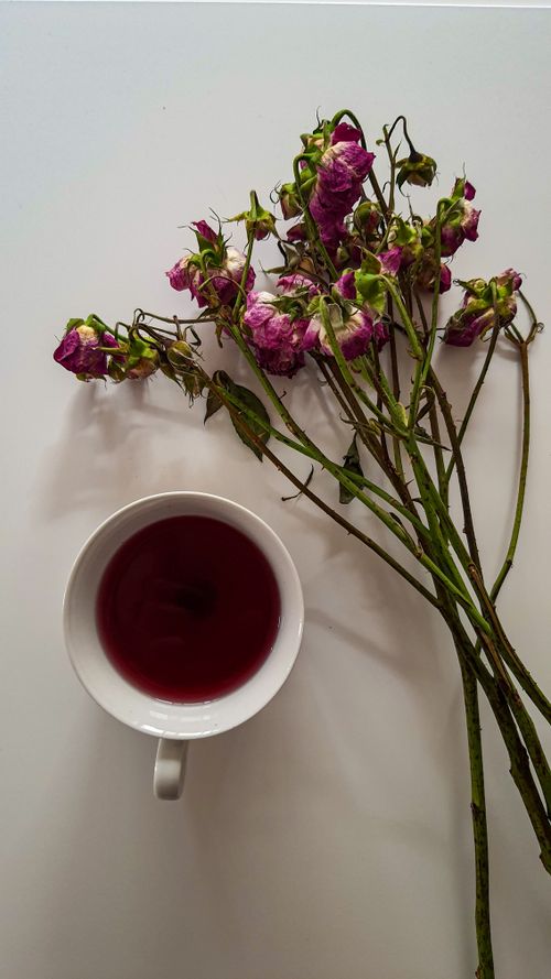 Free Aesthetic arrangement of withered pink roses and a cup of tea on white surface. Stock Photo