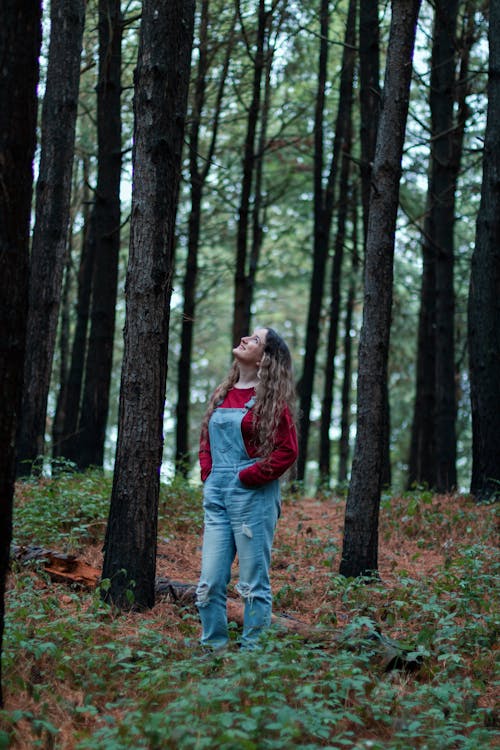 Foto profissional grátis de árvores, de pé, floresta