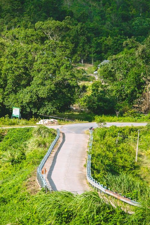 4k 桌面, 小路 的 免费素材图片