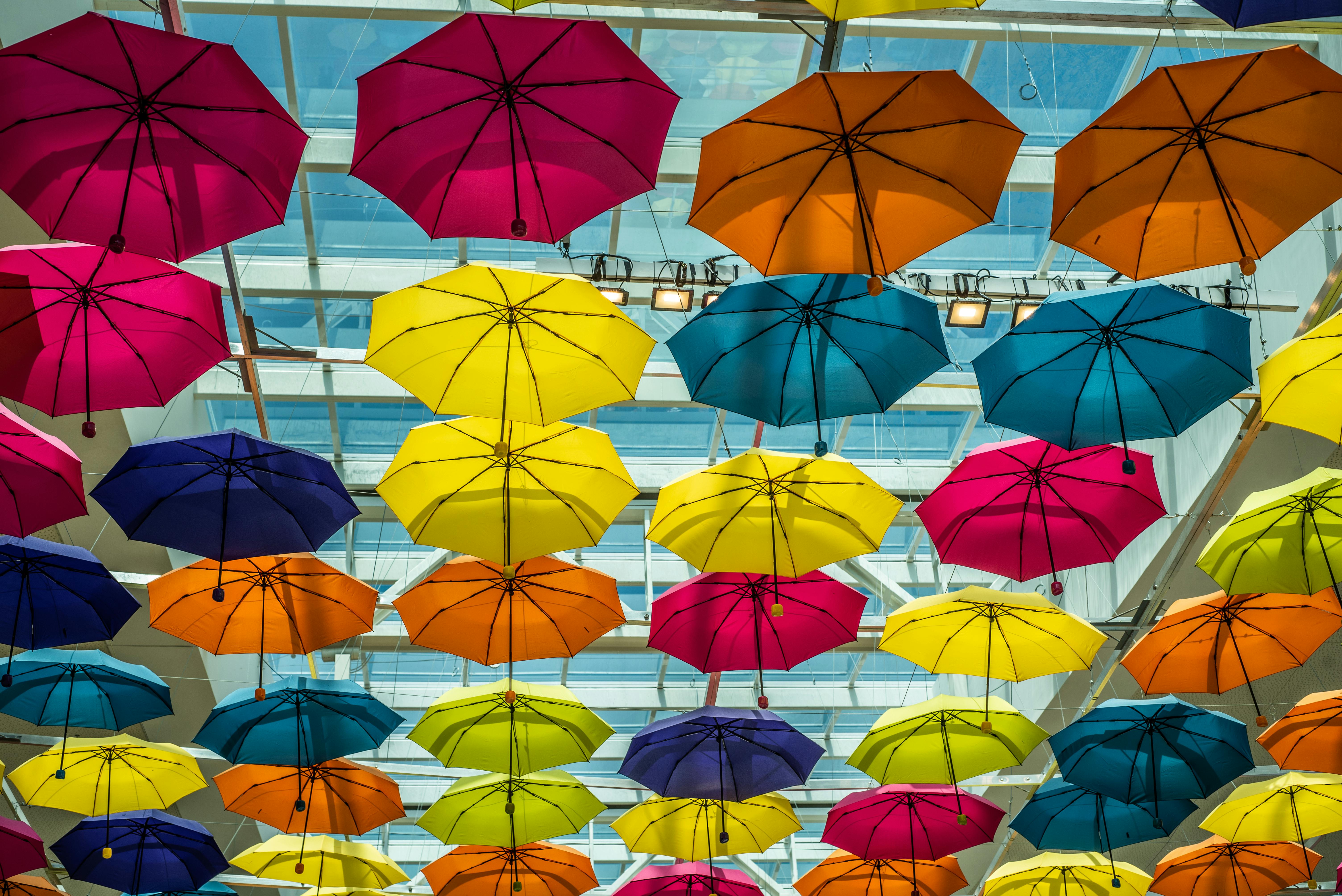 Neon deals colored umbrellas