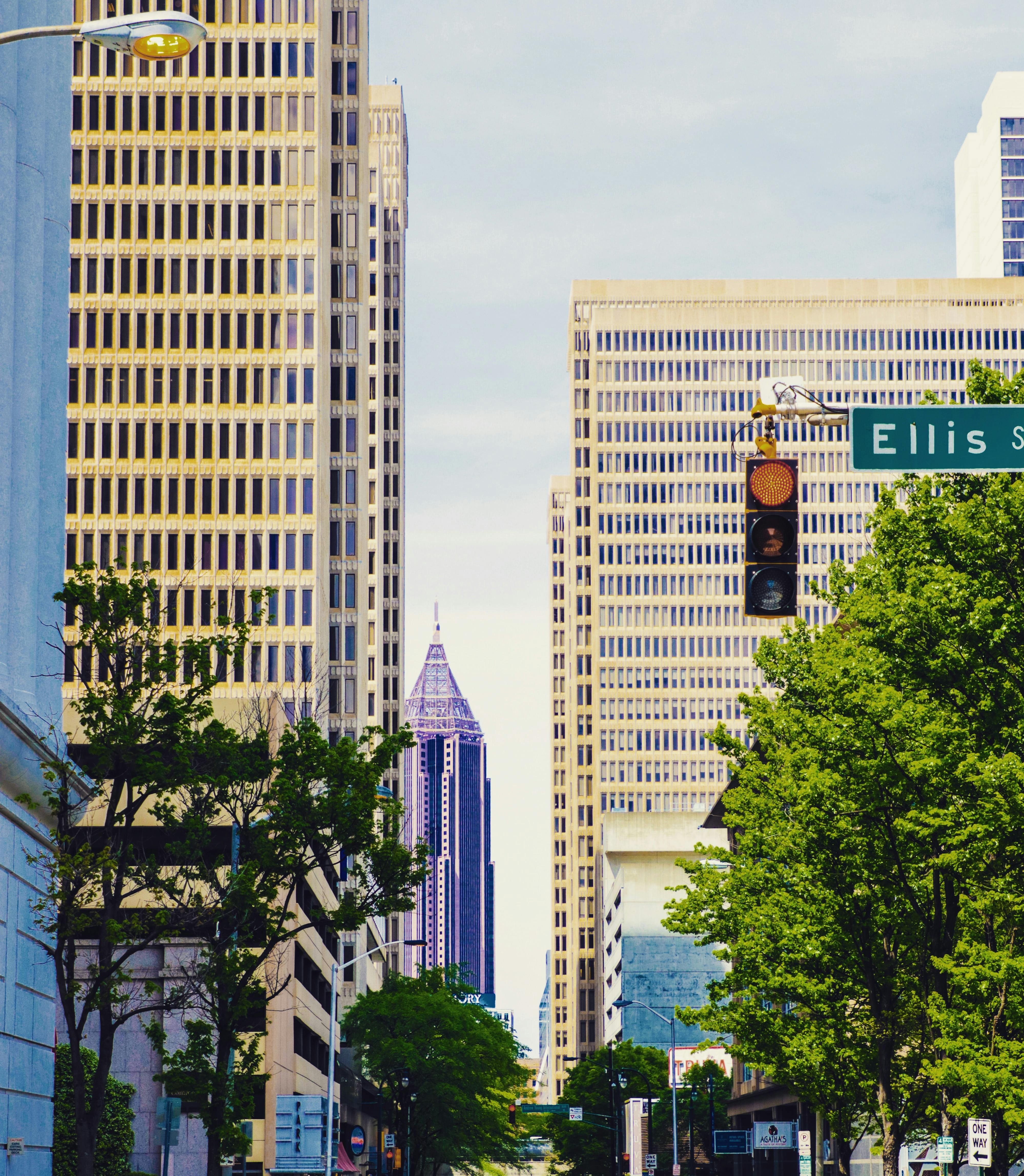 亚特兰大市中心的城市街景中，摩天大楼、树木和红绿灯构成了主要特色