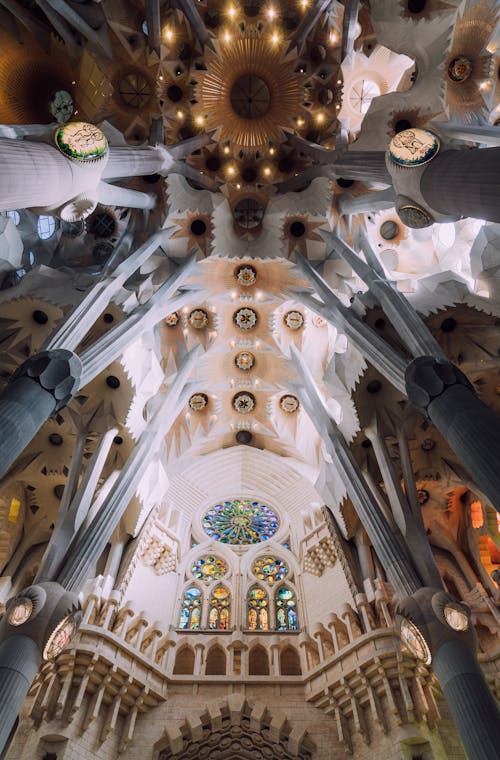 Fotos de stock gratuitas de Barcelona, catedral, columnas