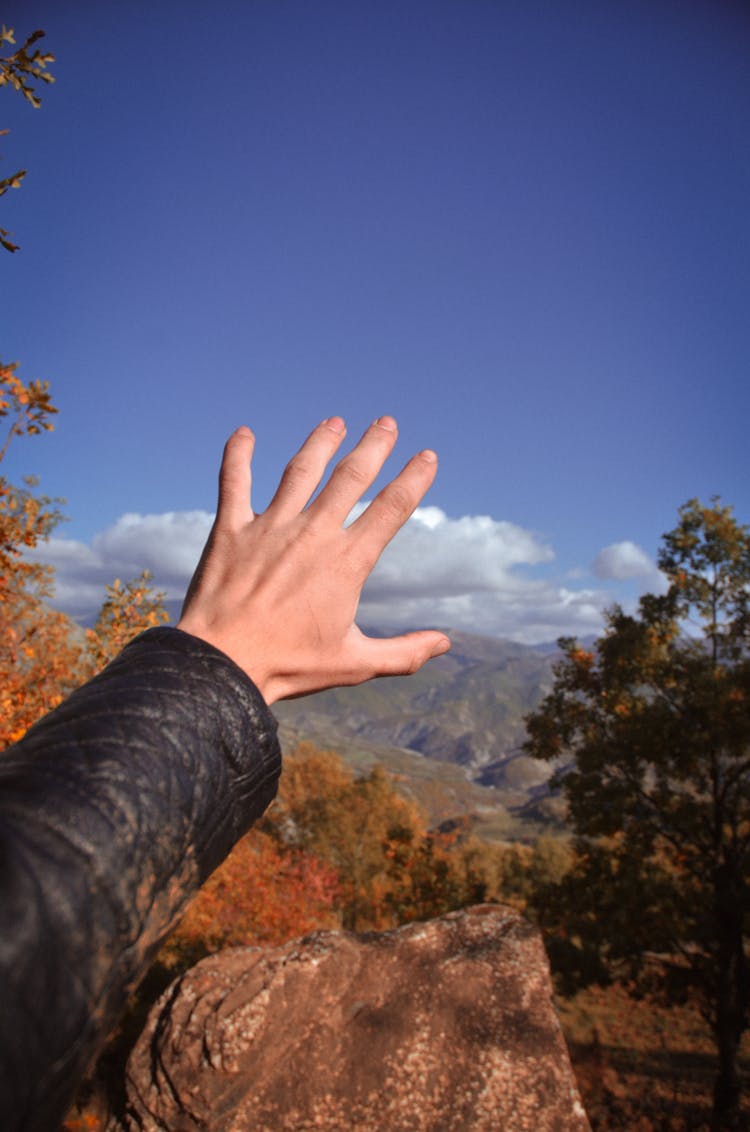 Photo Of A Person's Hand Reaching