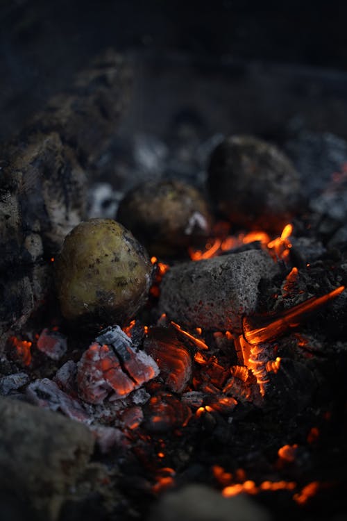 無料 キャンプファイヤー, たき火, バーベキューの無料の写真素材 写真素材