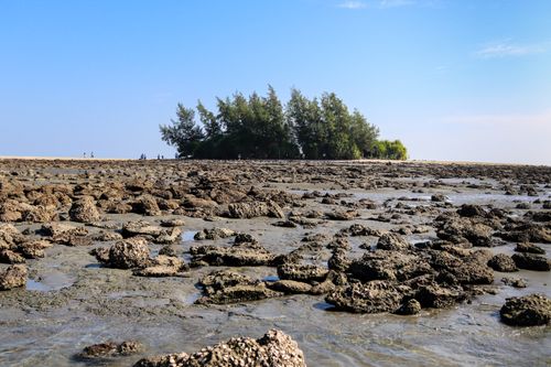 Free A scenic view of a rocky shoreline with trees under a clear blue sky in Sajek, Bangladesh. Stock Photo