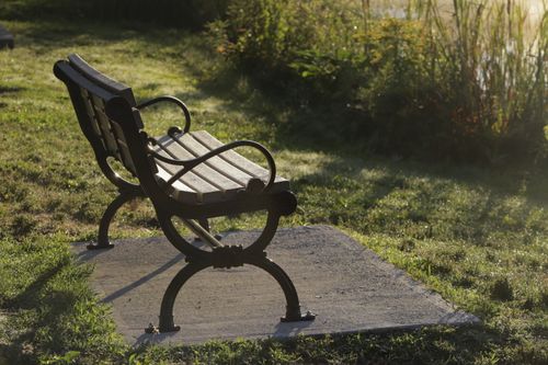 Free An empty park bench in Shrewsbury, MA, basking in warm morning sunlight. Perfect for relaxation. Stock Photo