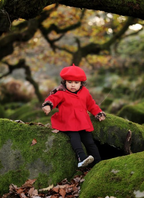 Free A young girl in a red coat and beret playing on green mossy rocks surrounded by autumn foliage. Stock Photo