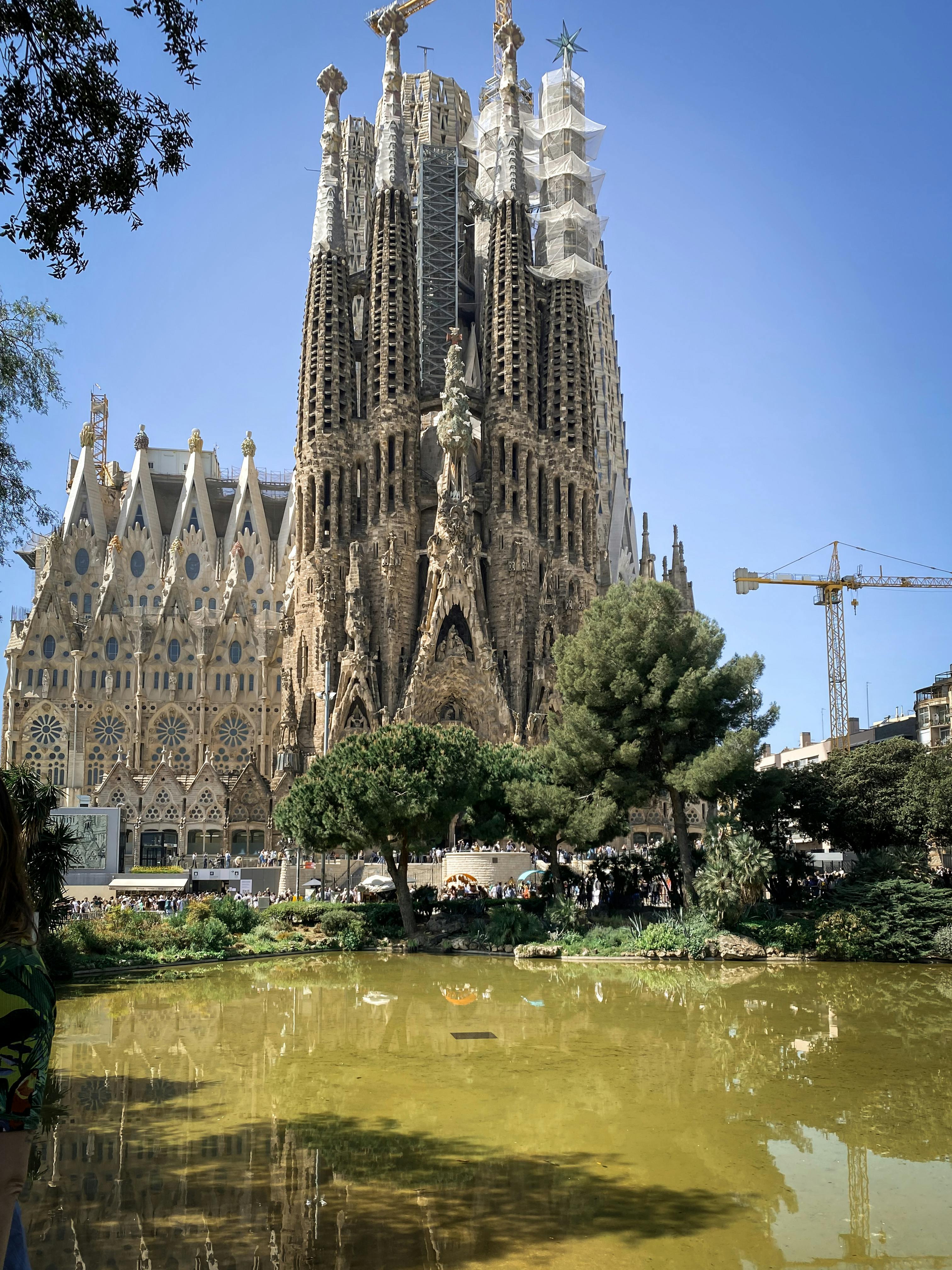 pond in park near gothic cathedral