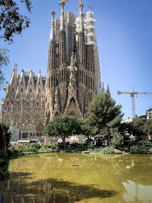 Foto d'estoc gratuïta de barcelona, catedral, edifici