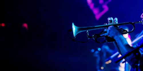 Photo of a Trumpeter During a Concert
