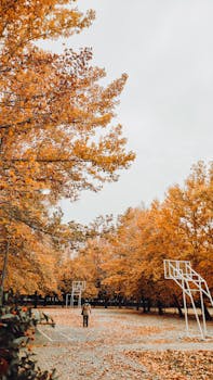 Basketball court surrounded by vibrant fall foliage in a quiet park setting.