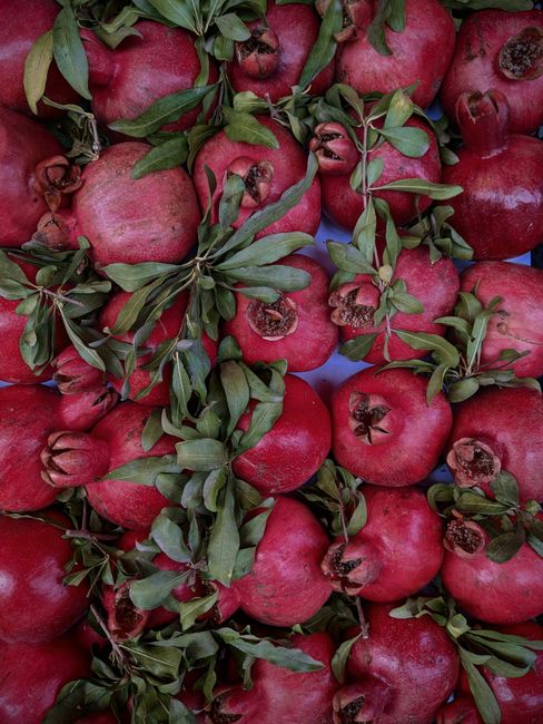 A close-up view of ripe red pomegranates surrounded by vibrant green leaves.