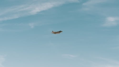 A Jet Flying in the Sky 